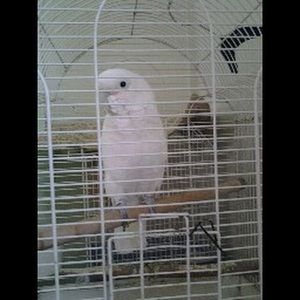 Meet your Posher, Curtis